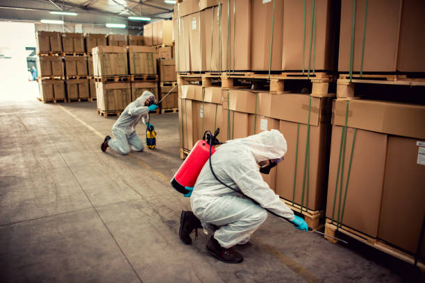 Best Pest Inspection Near Me  in Bell, CA