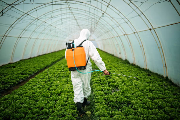 Best Pest Control Near Me  in Bell, CA