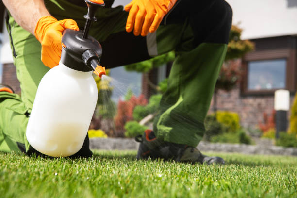 Best Insect Control  in Bell, CA