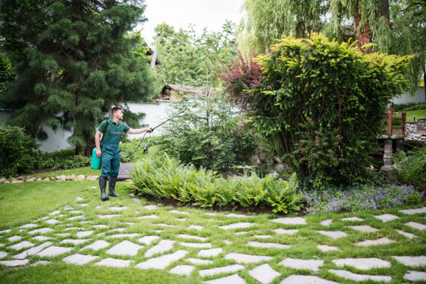 Best Insect Control  in Bell, CA