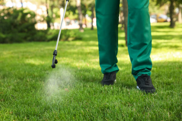 Best Pest Prevention Services  in Bell, CA