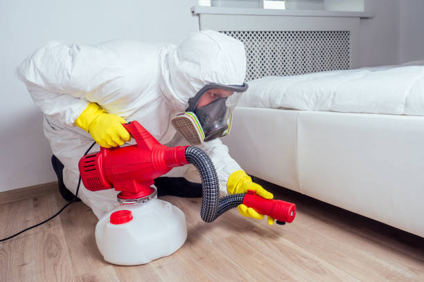 Best Residential Pest Control  in Bell, CA