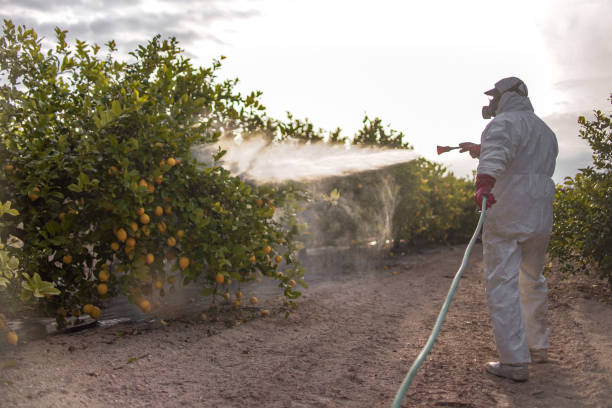 Best Best Pest Control Companies  in Bell, CA
