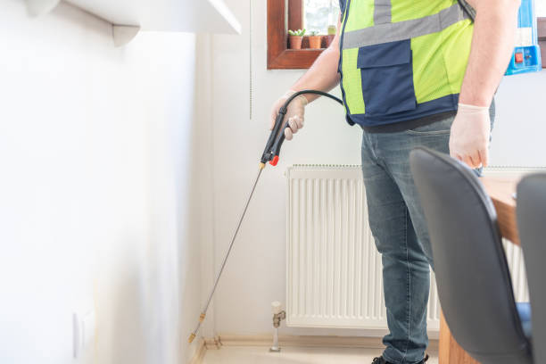 Best Cockroach Control Services  in Bell, CA