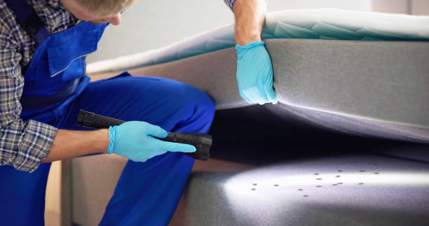Pest Control Cost in Bell, CA