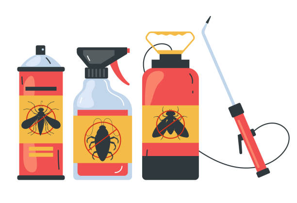 Best Affordable Pest Control Services  in Bell, CA