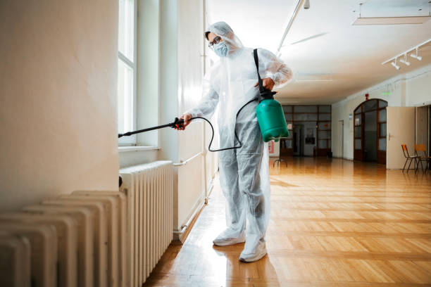 Best Mosquito Control Services  in Bell, CA