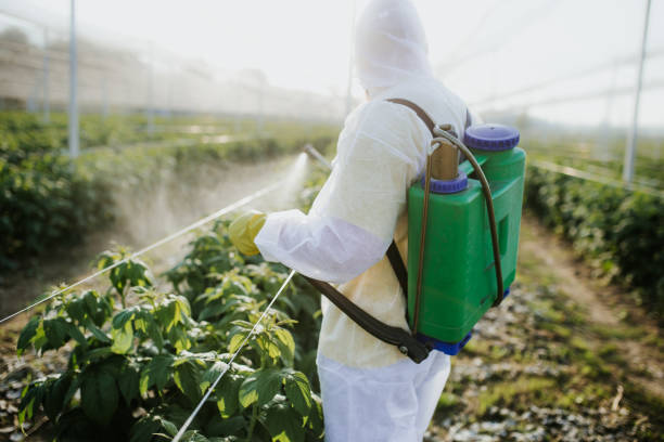 Best Pest Inspection Near Me  in Bell, CA